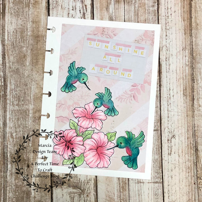 Sunshine and Hummingbirds
