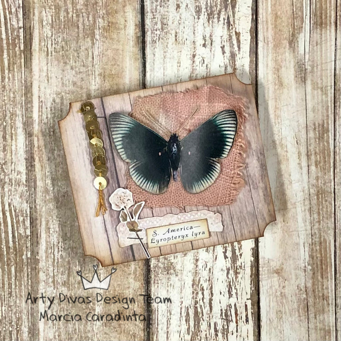 Vintage Butterfly Specimen Card